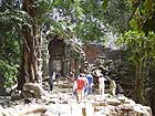 Ta Prohm - vstup