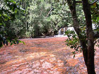 Obr. 2 Vodopd v Jaspisov stri (Quebrada de Jaspe). Foto: J. Zelenka